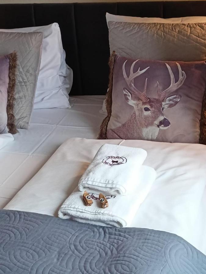 Apartament Pod Jeleniem Karpacz Bagian luar foto